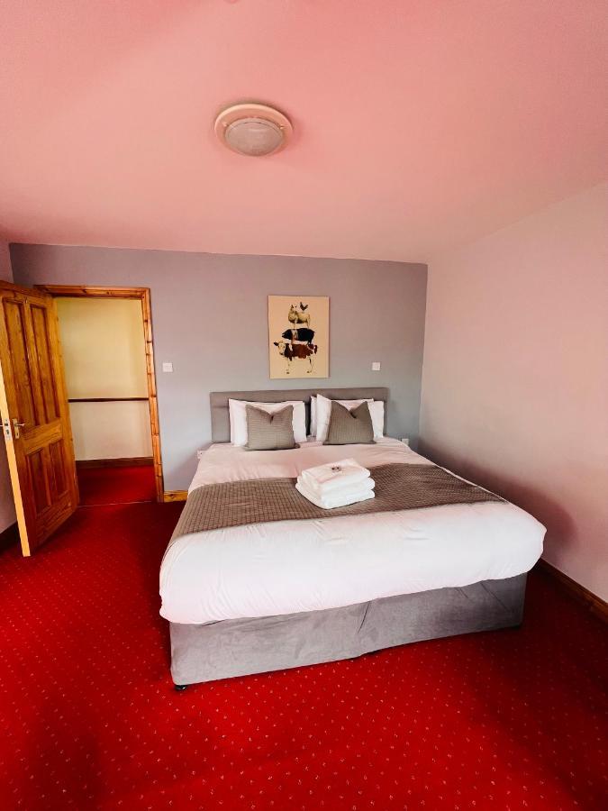 Dingle Marina Lodge Экстерьер фото