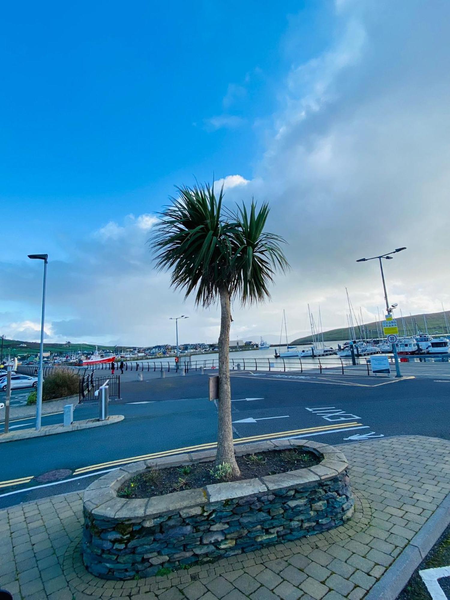 Dingle Marina Lodge Экстерьер фото