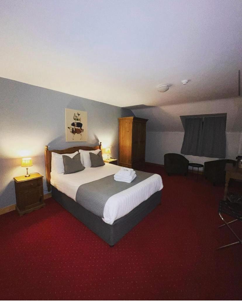 Dingle Marina Lodge Экстерьер фото